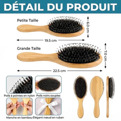 69ce22bb88067_large